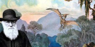 Что празднуют сегодня, 12 февраля, в России и в мире? Какие события случились в истории в этот день.. Что празднуют сегодня, 12 февраля, в России и в мире? Какие события случились в истории в этот день..