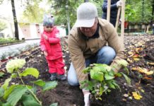 Москвичи, присоединяйтесь к акции «Наше дерево» — свое именное дерево в одном из 26 парков Москвы, до 30 июня 2020! Москвичи, присоединяйтесь к акции "Наше дерево" - свое именное дерево в 26 парках Москвы -до 30 июня 2020!