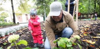Москвичи, присоединяйтесь к акции «Наше дерево» — свое именное дерево в одном из 26 парков Москвы, до 30 июня 2020! Москвичи, присоединяйтесь к акции "Наше дерево" - свое именное дерево в 26 парках Москвы -до 30 июня 2020!