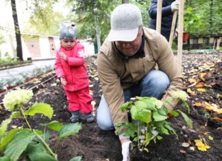 Москвичи, присоединяйтесь к акции «Наше дерево» — свое именное дерево в одном из 26 парков Москвы, до 30 июня 2020! Москвичи, присоединяйтесь к акции "Наше дерево" - свое именное дерево в 26 парках Москвы -до 30 июня 2020!