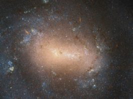 Спиральная галактика NGC 4618 во всей красе, новые снимки телескопа Хаббл Спиральная галактика NGC 4618 во всей красе, новые снимки телескопа Хаббл