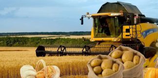 Цены на продукты в России не повысятся из-за роста курса доллара, сообщает Минсельхоз РФ Цены на продукты в России не повысятся из-за роста курса доллара, сообщает Минсельхоз РФ