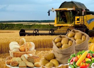 Цены на продукты в России не повысятся из-за роста курса доллара, сообщает Минсельхоз РФ Цены на продукты в России не повысятся из-за роста курса доллара, сообщает Минсельхоз РФ