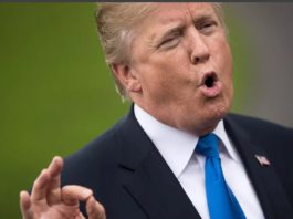 «Коронавирус в головах Белого дома Трампа и его помощников» — лечить солнцем оказывается надо! "Коронавирус в головах Белого дома Трампа и его помощников" - лечить солнцем оказывается надо!