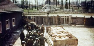 Минобороны рассекретило архивы документов о зверствах нацистов в концлагерях Собибор, Треблинка, Освенцим и др Минобороны рассекретило архивы документов о зверствах нацистов в концлагерях Собибор, Треблинка, Освенцим и др