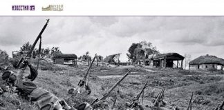 Музей Победы в Москве представил онлайн-выставку «Война в объективе военкоров»