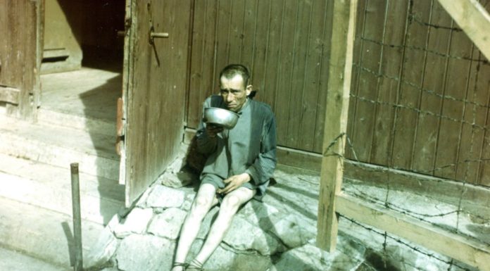 Сегодня, 11 апреля, Международный день освобождения узников нацистских концлагерей Сегодня, 11 апреля, Международный день освобождения узников нацистских концлагерей