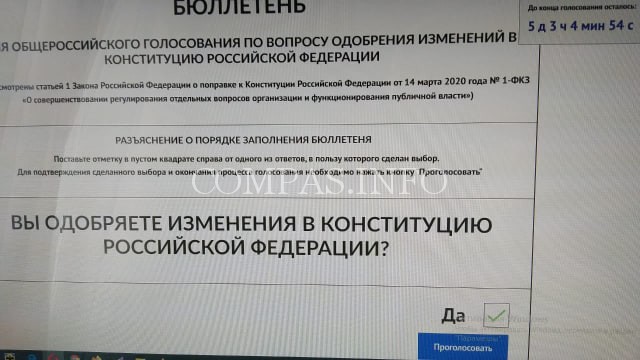 Я голосую "ЗА" Поправки к Конституции! Как и любой россиянин, думающий о будущем  России и своих детей и близких!
