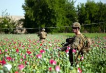 «Лающая» на Россию разведка США беззастенчиво активно торгует наркотиками по всему миру "Лающая" на Россию разведка США беззастенчиво активно торгует наркотиками по всему миру