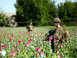 «Лающая» на Россию разведка США беззастенчиво активно торгует наркотиками по всему миру "Лающая" на Россию разведка США беззастенчиво активно торгует наркотиками по всему миру