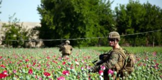 «Лающая» на Россию разведка США беззастенчиво активно торгует наркотиками по всему миру "Лающая" на Россию разведка США беззастенчиво активно торгует наркотиками по всему миру