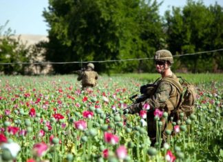 «Лающая» на Россию разведка США беззастенчиво активно торгует наркотиками по всему миру "Лающая" на Россию разведка США беззастенчиво активно торгует наркотиками по всему миру