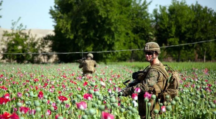 «Лающая» на Россию разведка США беззастенчиво активно торгует наркотиками по всему миру "Лающая" на Россию разведка США беззастенчиво активно торгует наркотиками по всему миру