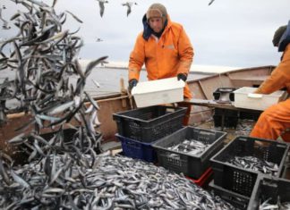 10 траулеров для промысла рыбы в Черном и Азовском морях построят на судостроительной верфи «Море» под Феодосией 10 траулеров для промысла рыбы в Черном и Азовском морях построят на судостроительной верфи "Море" под Феодосией