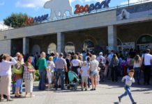 День 14 августа в истории: образование Тюменской области, в СССР появились больничные листы, 155 лет Ленинградскому зоопарку День 14 августа в истории: образование Тюменской области, в СССР появились больничные листы, 155 лет Ленинградскому зоопарку