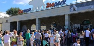 День 14 августа в истории: образование Тюменской области, в СССР появились больничные листы, 155 лет Ленинградскому зоопарку День 14 августа в истории: образование Тюменской области, в СССР появились больничные листы, 155 лет Ленинградскому зоопарку