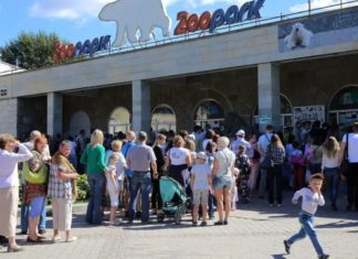 День 14 августа в истории: образование Тюменской области, в СССР появились больничные листы, 155 лет Ленинградскому зоопарку День 14 августа в истории: образование Тюменской области, в СССР появились больничные листы, 155 лет Ленинградскому зоопарку