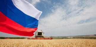 Успешный российский экспорт пшеницы немцы объясняют «трюками и маневрами» РФ на фоне провалов у конкурентов из Франции и Украины Успешный экспорт пшеницы немцы объясняют для себя "трюками и маневрами" РФ на фоне провалов у конкурентов из Франции и Украины