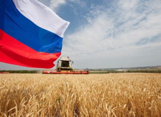 Успешный российский экспорт пшеницы немцы объясняют «трюками и маневрами» РФ на фоне провалов у конкурентов из Франции и Украины Успешный экспорт пшеницы немцы объясняют для себя "трюками и маневрами" РФ на фоне провалов у конкурентов из Франции и Украины