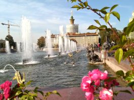 ВДНХ, «золотая осень» в Москве: аллеи, фонтаны «Дружба народов СССР», «Каменный цветок», «Золотой колос», Воздушная экотропа, Вэйк-парк и «Кипарисный лабиринт»… 2020-10-10 ФОнтан Каменный цветок на ВДНХ осень 2020 (3)
