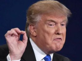 Выход Трампа из Договора по открытому небу (ДОН) похож на месть Байдену за «проигрыш» в шоу-выборах президента США Выход Трампа из Договора по открытому небу (ДОН) похож на месть Байдену за "проигрыш" в так называемых выборах президента США