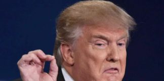 Выход Трампа из Договора по открытому небу (ДОН) похож на месть Байдену за «проигрыш» в шоу-выборах президента США Выход Трампа из Договора по открытому небу (ДОН) похож на месть Байдену за "проигрыш" в так называемых выборах президента США