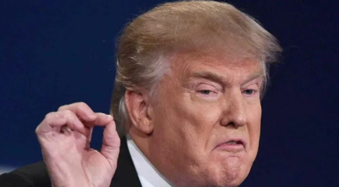 Выход Трампа из Договора по открытому небу (ДОН) похож на месть Байдену за «проигрыш» в шоу-выборах президента США Выход Трампа из Договора по открытому небу (ДОН) похож на месть Байдену за "проигрыш" в так называемых выборах президента США