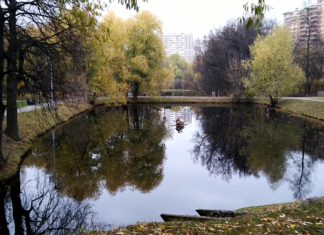 Москва, Воронцовский парк и усадьба в ЮЗАО, Большой Воронцовский пруд, Воронцовская дубрава Москва, Воронцовский парк и усадьба в ЮЗАО, Большой Воронцовский пруд, Воронцовская дубрава