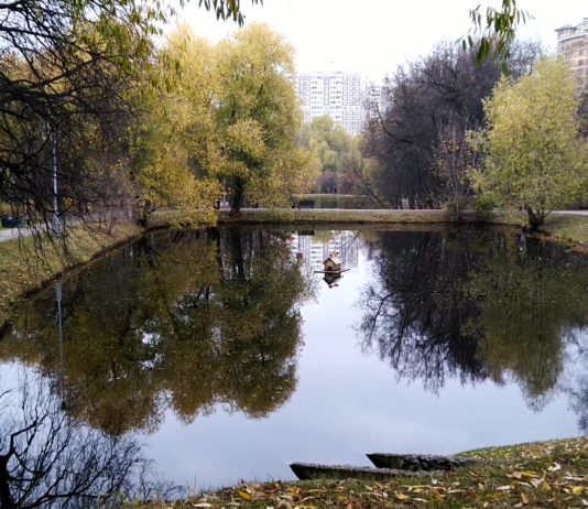 Москва, Воронцовский парк и усадьба в ЮЗАО, Большой Воронцовский пруд, Воронцовская дубрава Москва, Воронцовский парк и усадьба в ЮЗАО, Большой Воронцовский пруд, Воронцовская дубрава