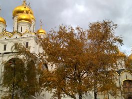 Скверы Московского Кремля, археологические шурфы, прогулка по Кремлю, Кремль без пафоса, видео Скверы Московского Кремля, археологические шурфы, прогулка по Кремлю, Кремль без пафоса, видео