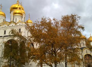 Скверы Московского Кремля, археологические шурфы, прогулка по Кремлю, Кремль без пафоса, видео Скверы Московского Кремля, археологические шурфы, прогулка по Кремлю, Кремль без пафоса, видео