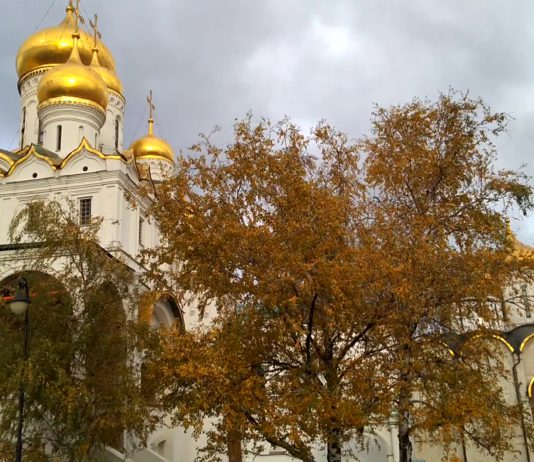 Скверы Московского Кремля, археологические шурфы, прогулка по Кремлю, Кремль без пафоса, видео Скверы Московского Кремля, археологические шурфы, прогулка по Кремлю, Кремль без пафоса, видео