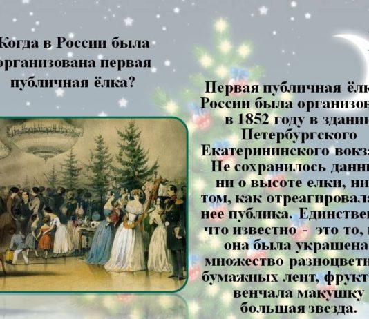 Когда в России появилась традиция Рождественской и Новогодней ёлки, история от Петра I до времён СССР Когда в России появилась традиция Рождественской и Новогодней ёлки, история от Петра I до времён СССР