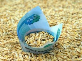 Почему в 2021 году растут цены на пшеницу и муку в России, мнение эксперта Почему в 2021 году растут цены на пшеницу и муку в России, экспертное мнение