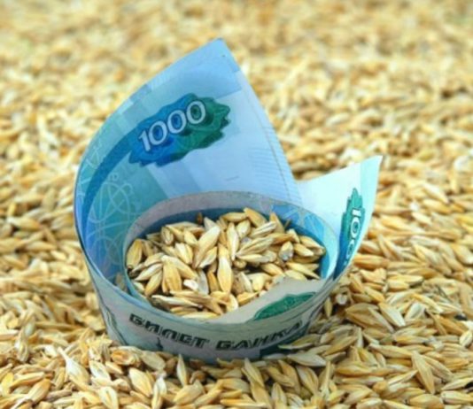 Почему в 2021 году растут цены на пшеницу и муку в России, мнение эксперта Почему в 2021 году растут цены на пшеницу и муку в России, экспертное мнение