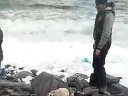Люди, СТОП УБИЙСТВУ животных за Лайки и Хайп!!! Детеныш тюленя «Нелли» умерла от стресса после СЭЛФИ с людьми, ВИДЕО Люди, СТОП УБИЙСТВУ животных за Лайки и Хайп!!! Детеныш тюленя "Нелли" умерла от стресса после СЭЛФИ с людьми