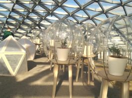 Москва, Парк Зарядье под Стеклянной корой, экзотические дары от Никитского ботанического сада, 20 марта 2021, видео Москва, Парк Зарядье под Стеклянной корой, экзотические дары от Никитского ботанического сада, 20 марта 2021, видео
