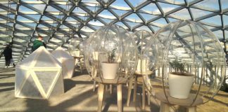 Москва, Парк Зарядье под Стеклянной корой, экзотические дары от Никитского ботанического сада, 20 марта 2021, видео Москва, Парк Зарядье под Стеклянной корой, экзотические дары от Никитского ботанического сада, 20 марта 2021, видео