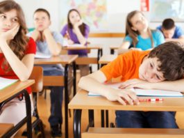 Путин подписал новый закон № 85-ФЗ о регулировании образовательной работы в России Путин подписал новый закон № 85-ФЗ о регулировании образовательной работы в России