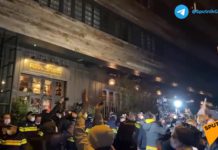 «Познер, вон из Грузии!», жители Грузии закидали яйцами, выгнав с позором из Тбилиси русофоба-еврея Познера, ВИДЕО "Познер, вон из Грузии!", жители Грузии закидали яйцами и с позором выгнали из Тбилиси русофоба-еврея Познера