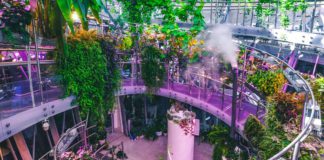 21 мая 2021 в парке «Зарядье»: презентация новой ботанической коллекции «Флорариума» и выставки иллюстраций «Заземление» 21 мая 2021 в парке "Зарядье": ботаническая коллекция "Флорариума" и выставка иллюстраций "Заземление"