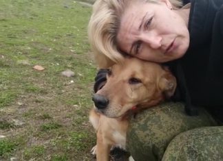 Собака-дичок Дымка в 4-й раз вышла гулять с волонтером Аллой Булычевой, социализация в приюте ЮЗАО Щербинка, видеохроника, май 2021 Собака-дичок Дымка в 4-й раз вышла с волонтером Аллой Булычевой на прогулку! Социализация в приюте ЮЗАО Щербинка, видеохроника, май 2021