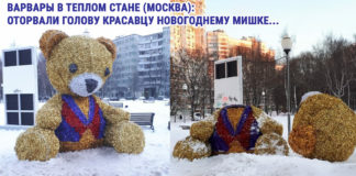 Варвары в Теплом Стане (Москва): оторвали голову красавцу новогоднему Мишке.. ГБУ Жилищник, да и Управе Теплый Стан, видимо, не до него Новогодний Мишка в Теплом Стане, Москва, вандалы оторвали голову