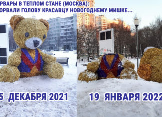 Варвары в Теплом Стане (Москва): оторвали голову красавцу новогоднему Мишке.. ГБУ Жилищник, да и Управе Теплый Стан, видимо, не до него Новогодний Мишка в Теплом Стане, Москва, вандалы оторвали голову