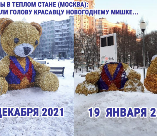 Варвары в Теплом Стане (Москва): оторвали голову красавцу новогоднему Мишке.. ГБУ Жилищник, да и Управе Теплый Стан, видимо, не до него Новогодний Мишка в Теплом Стане, Москва, вандалы оторвали голову