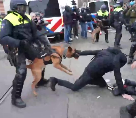 «Цивилизованный» Амстердам, 21-й век: полиция избивает дубинками, а собаки рвут людей на улицах за мирные протесты