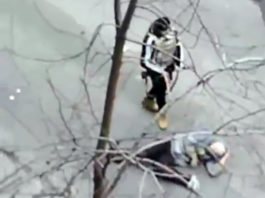 ВИДЕО: В Киеве нацисты расстреливают граждан прямо во дворах домов. Президент Путин, ЗАЧЕМ С ФАШИСТАМИ ВЕСТИ ПЕРЕГОВОРЫ!!! ВИДЕО: В Киеве нацисты расстреливают граждан прямо во дворе домов