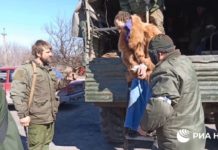ВИДЕО: Укронацисты драпают из Мариуполя в женской одежде под видом мирных жителей ВИДЕО: Укронацисты драпают из Мариуполя в женской одежде под видом мирных жителей