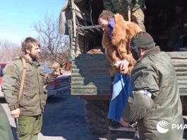 ВИДЕО: Укронацисты драпают из Мариуполя в женской одежде под видом мирных жителей ВИДЕО: Укронацисты драпают из Мариуполя в женской одежде под видом мирных жителей