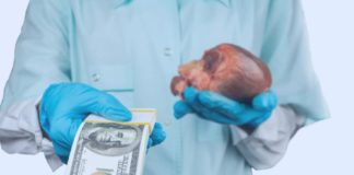 Украина десятки лет поставляла человеческие органы людоедам США и Европы, убивая и «разбирая» своих граждан и солдат ВСУ Украина десятки лет поставляла человеческие органы людоедам США и Европы, убивая и "разбирая" своих граждан и солдат ВСУ